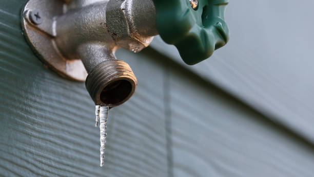 Best Drain Cleaning Services  in Loyola, CA